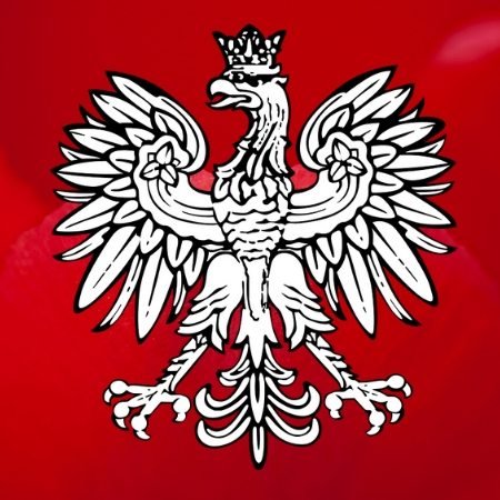 30 % wzrost hazardu online w Polsce w roku 2019