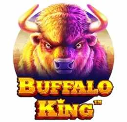 buffalo king