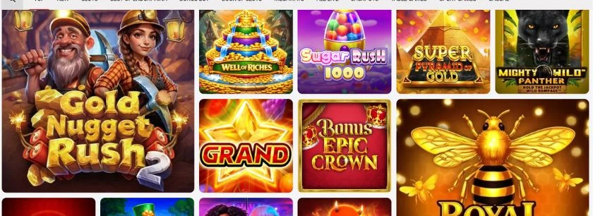 dachbet casino