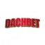 Logo image for Dachbet Casino